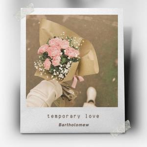 Temporary Love