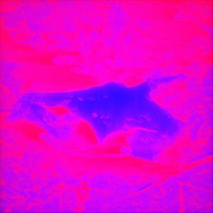 UntitledFace (feat. DB) (Explicit)