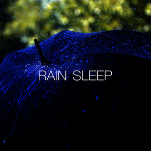 Rain Sleep