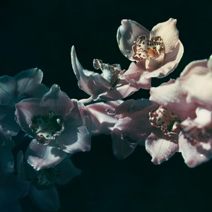 Lawson - this is what love is