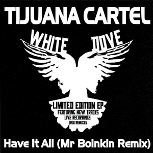 Have It All (Mr. Boinkin Remix) [Ringtone]