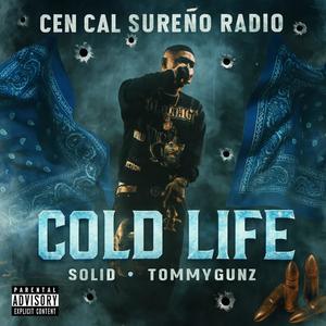 Cold Life (feat. Solid & TommyGunz) (Explicit)