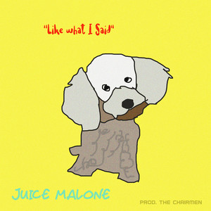 Like What I Said (Explicit)