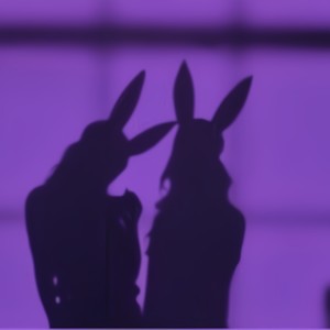 Shadow (Explicit)