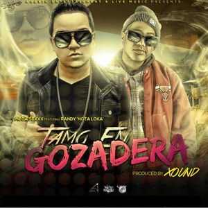 Tamo en Gozadera (Radio Edit) [feat. Randy Nota Loka]