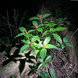 ROUTINE (feat. ME7O)