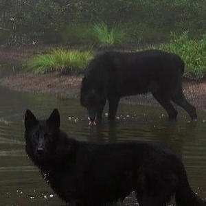 i think you were supposed to be my soulmate (Explicit)