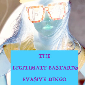 Evasive Dingo