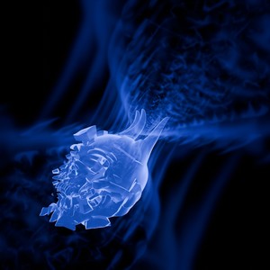 Torture (Remix)