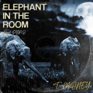 Elephant In The Room (Explicit)