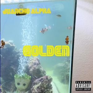 Golden (Explicit)