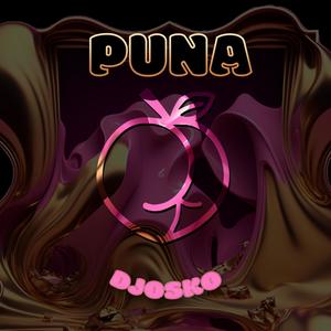 PUNA (Explicit)