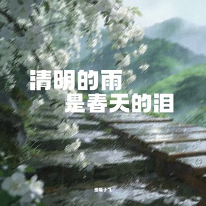 清明的雨是春天的泪