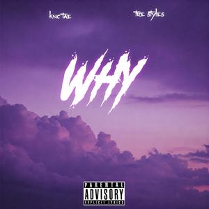Why (feat. Tre $tyles) [Explicit]