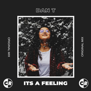 It's a Feeling (Original Mix)