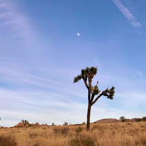 Feels Like We Only Go Backwards