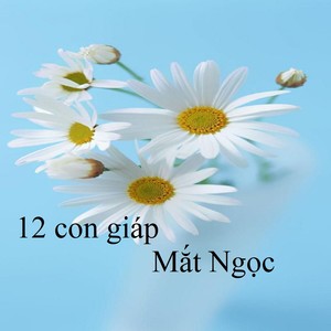 12 con giáp