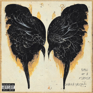 CONFESSIONS (Explicit)