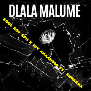 Dlala Malume