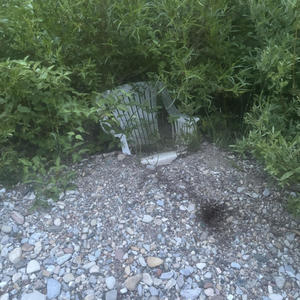 This is my Tune (Explicit)