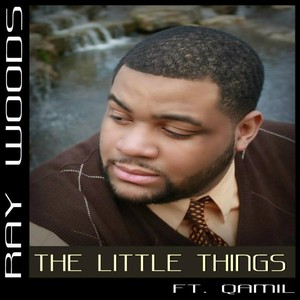 The Little Things (feat. Qamil)