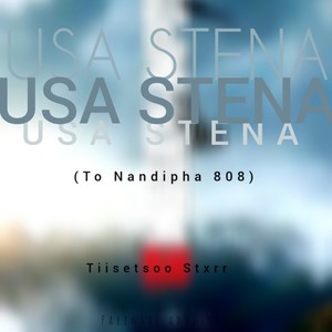 Usa Stena (To Nandipha 808)