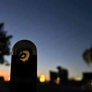 Lost Myself Somewhere Between These Trees and Searching for Peace (Explicit)