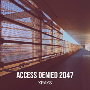 Access Denied 2047