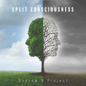 Split Consciousness