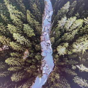 birds resting by the stream (feat. Nordic Wilderness & El Naturel) (AITIA Remix)