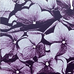 Tick Tock (Prod. bbno$)