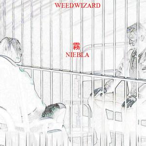 Niebla (feat. Weed Wizard & Silent Hill)