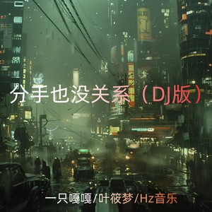 分手也没关系 (DJ版)