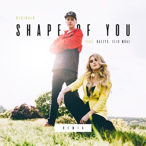 Shape of You (Remix)