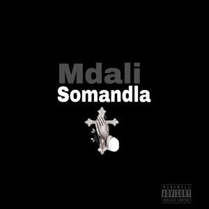 Mdali Somandla (feat. Unkel Zodwa) (Explicit)