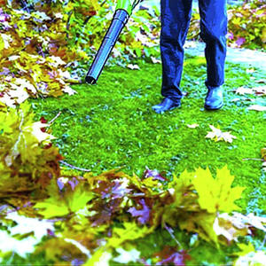 Must You Run Your Leaf Blower NOW?!, Pt. 2