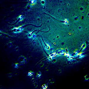 kidz of kidz have kidz