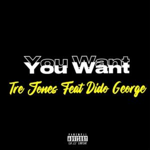You Want (feat. Dido George) [Explicit]