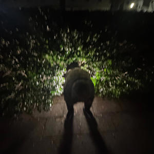 Shnake (feat. Rundown eli) (Explicit)