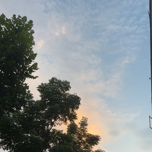 很无语哎 (伴奏)