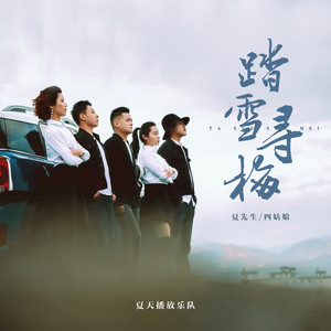 踏雪寻梅 (伴奏)封面