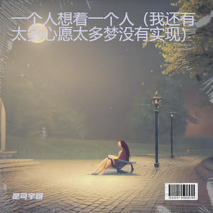 一个人想着一个人（我还有太多心愿太多梦没有实现）-是司宇呀