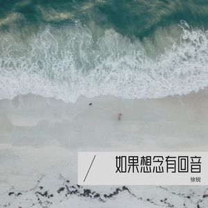 如果想念有回音