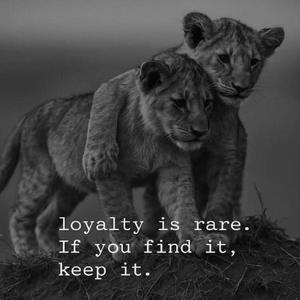 LOYALTY (feat. Fadex & Lil Decca)