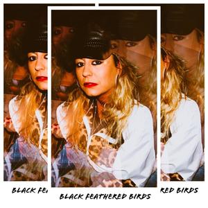 Black Feathered Birds (with Intro bonus)