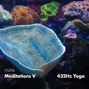 432HZ Meditations V