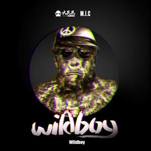 Wild Boy（feat.M.i.c 陈迈）