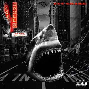 Shark on Land (Explicit)