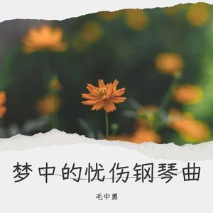 梦中的忧伤 钢琴曲