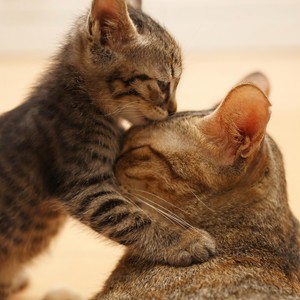 晴天 (短视频常用的背景音乐)